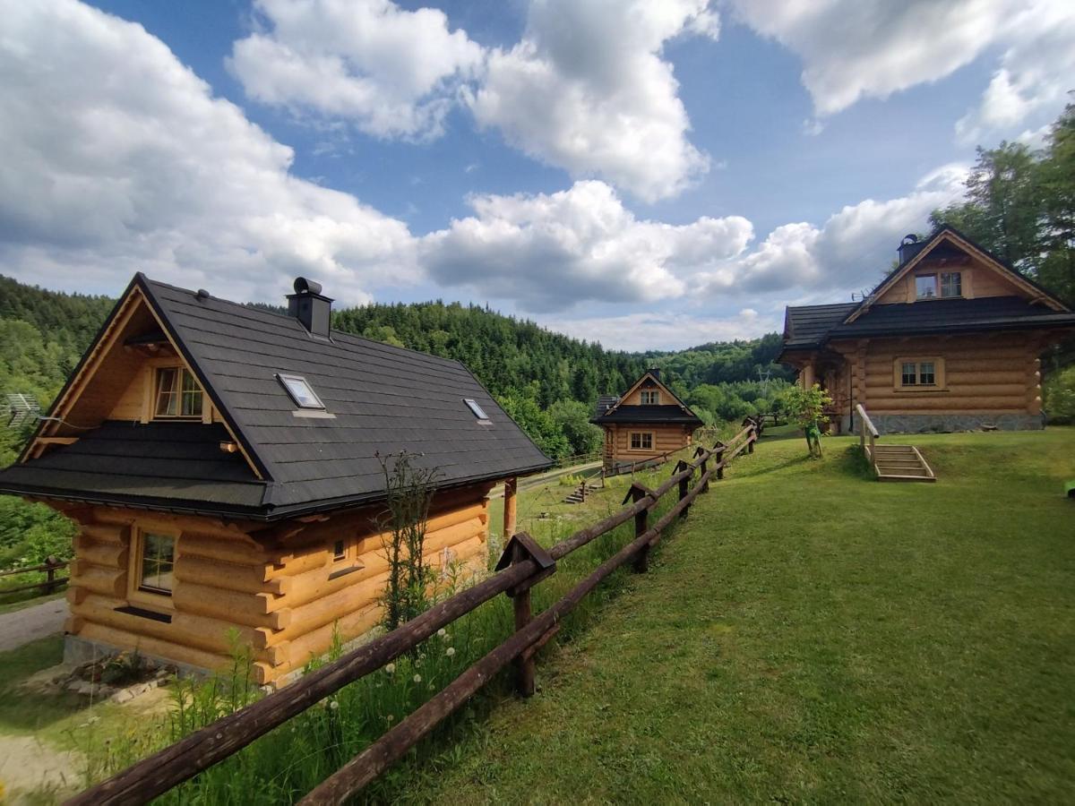 Osada Mala Kozowka Villa Myslenice Exterior photo